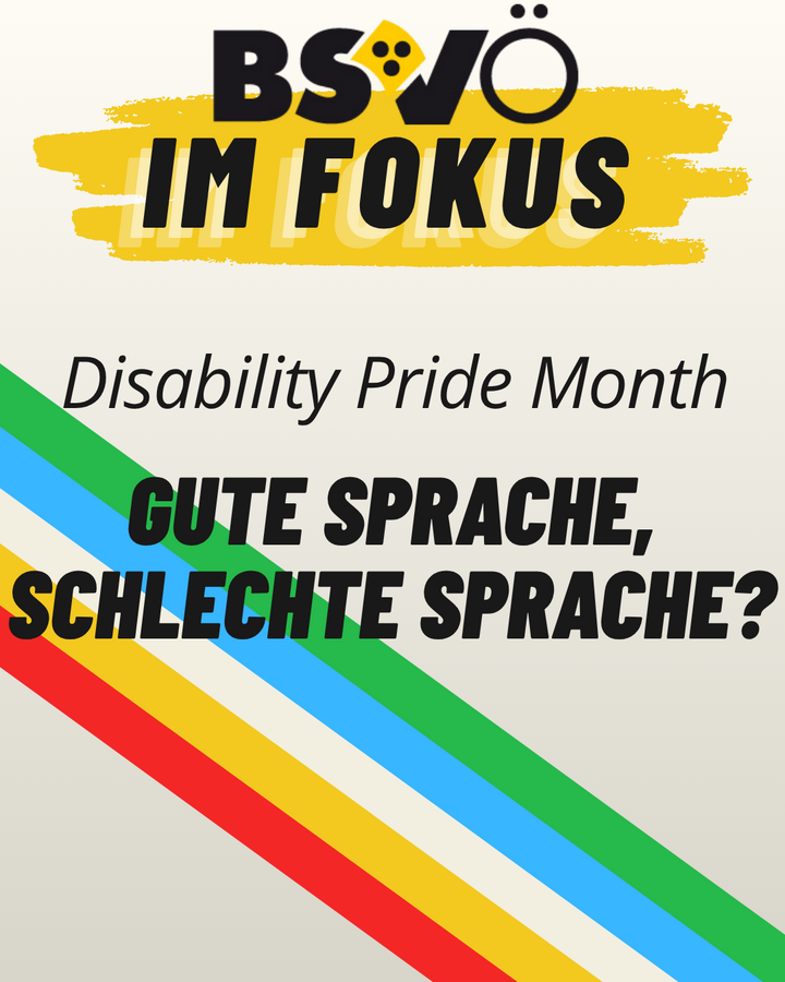 BSVÖ im Fokus: Disability Pride Month