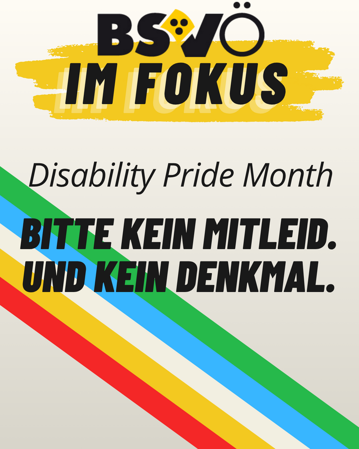 BSVÖ im Fokus -Disability Pride Month
