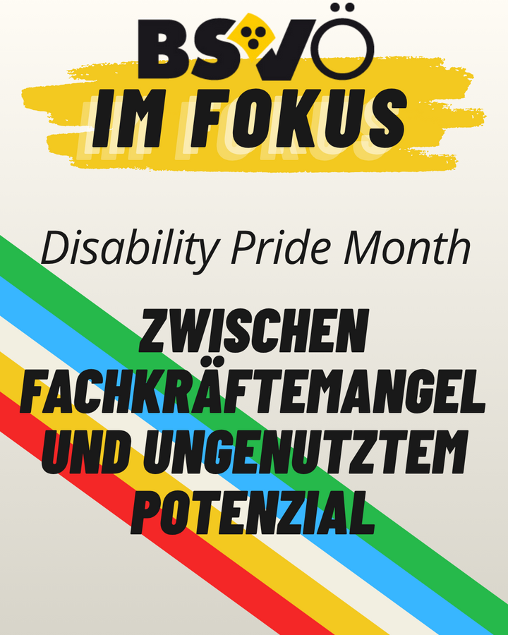 BSVÖ im Fokus: Disability Pride Month
