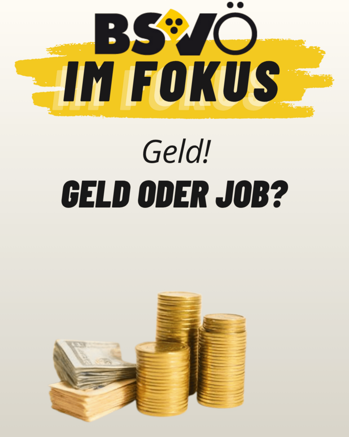 BSVÖ im Fokus: Geld. Geld oder Job? Zwischen Ausgleichstaxfonds und Arbeitsplatzsicherheit. 