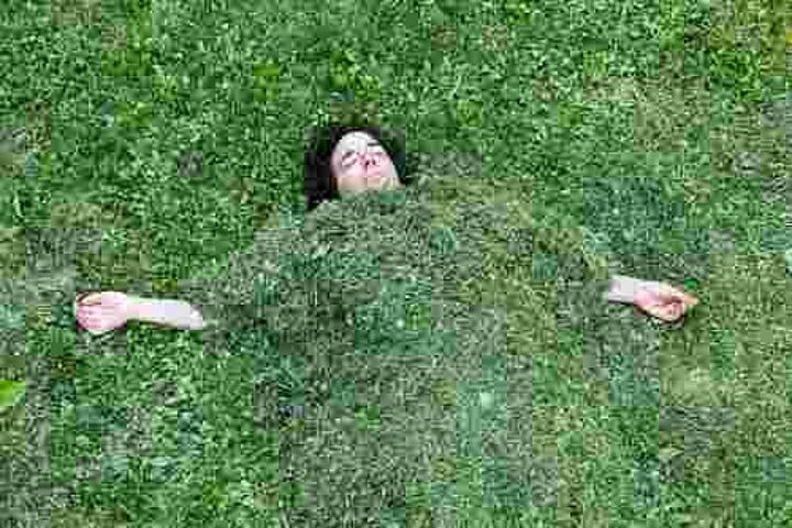 Wood wide web. Eine Person liegt unter geschnittenem Gras.