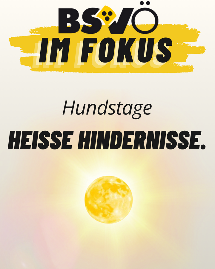 Im Fokus: Heiße Hindernisse