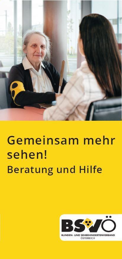 Cover: Unterstützung und Beratung. Eine blinde Frau wird beraten.