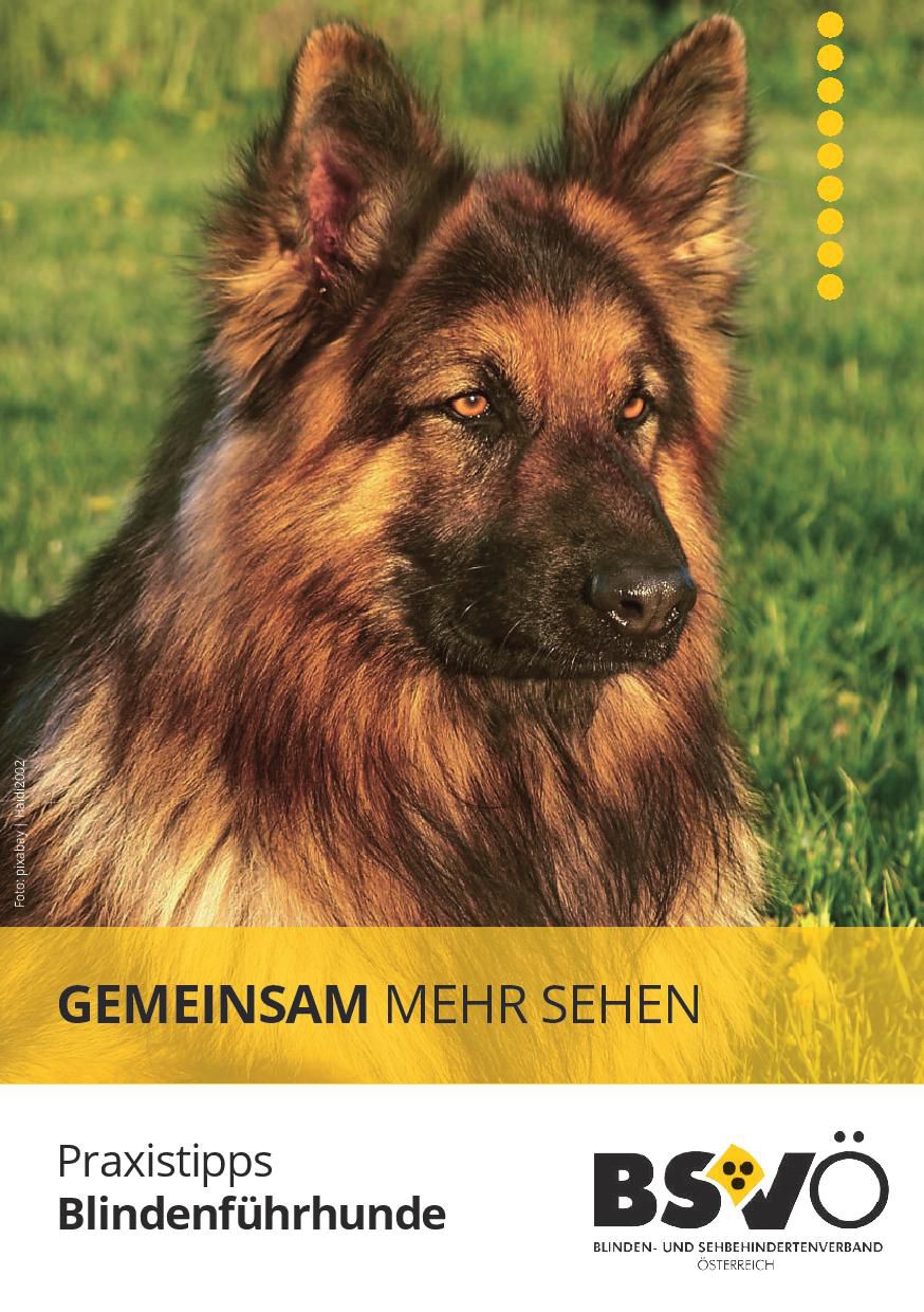 Cover: Praxistipps Blindenführhunde. 