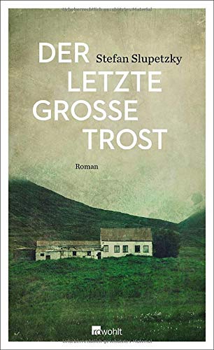 Cover: Der letzte große Trost ©rowohlt verlag