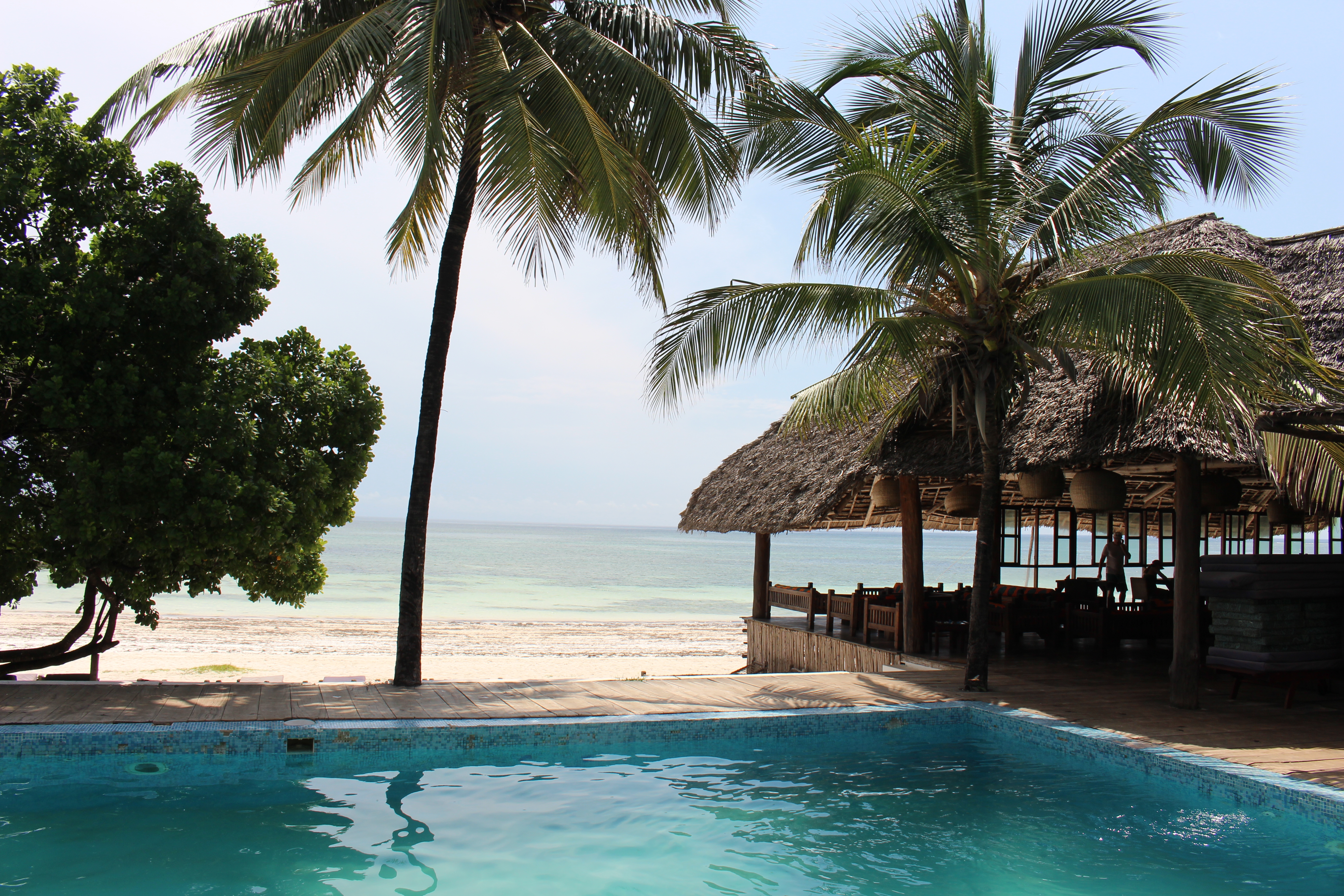 Ausblick vom Pool über den weißen Sandstrand mit Palmen auf der Insel Sansibar