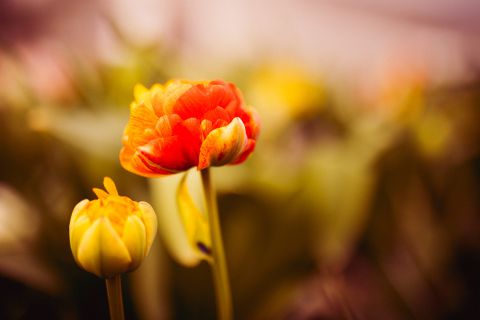 Ostern © unsplash/happy patel