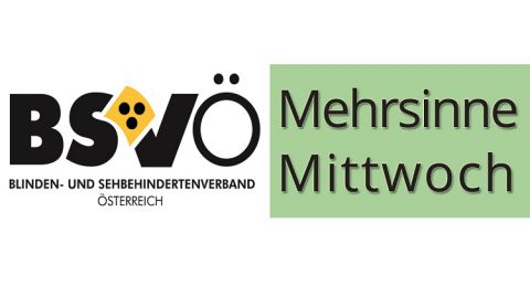 Logo Mehrsinne Mittwoch © bsvö