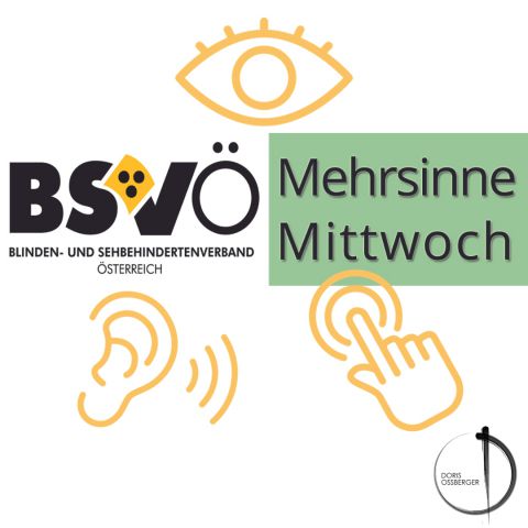 Mehrsinne Mittwoch © BSVÖ