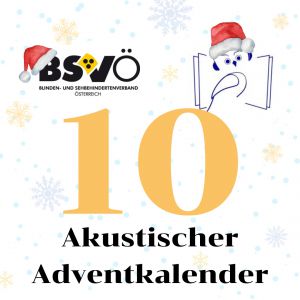 akustischer adventkalender © BSVÖ