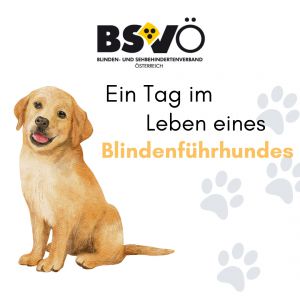 Führhund © BSVÖ