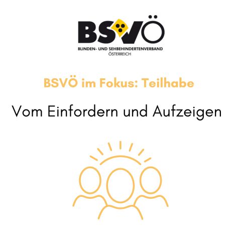 Fokus Teilhabe © BSVÖ