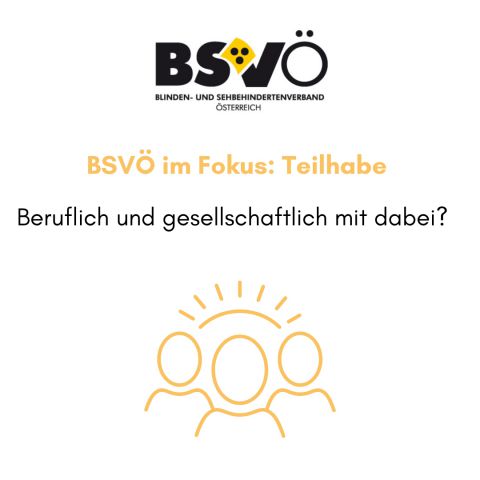 Fokus Teilhabe © BSVÖ