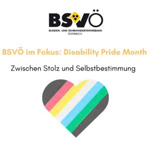 BSVÖ Fokus © BSVÖ