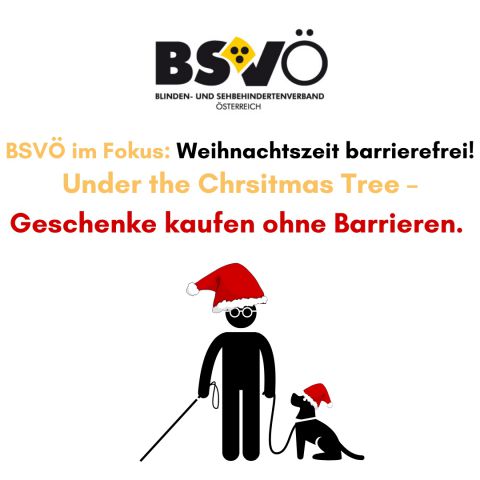 BSVÖ Fokus © BSVÖ
