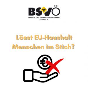 Haushaltsbudget © BSVÖ