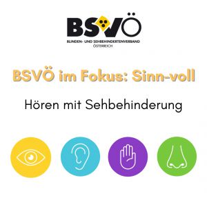 Sinnvoll © BSVÖ