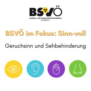 Sinnvoll © BSVÖ