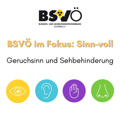 Sinnvoll © BSVÖ