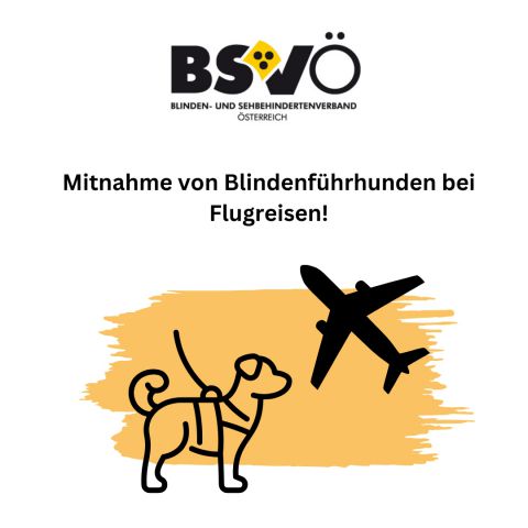 Blindenführhunde © bsvö