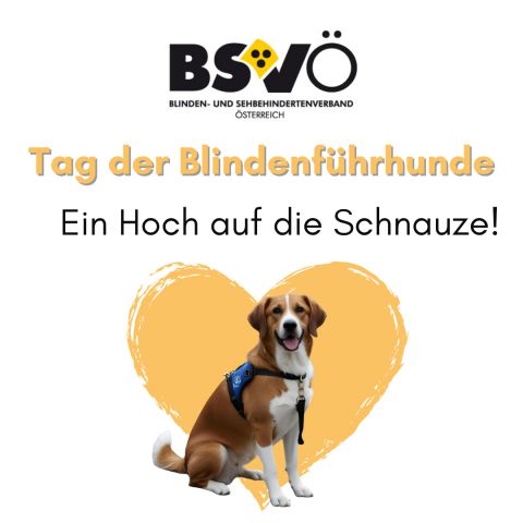 Blindenführhunde © BSVÖ