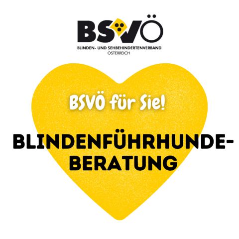 BSVÖ für Sie © BSVÖ