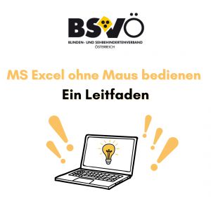 MS Excel © BSVÖ