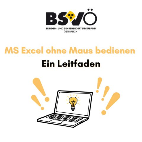 MS Excel © BSVÖ