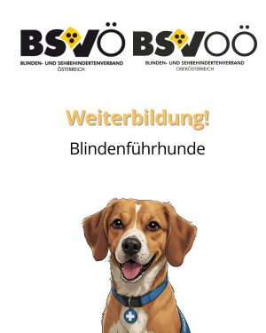 Blindenführhunde © BSVÖ
