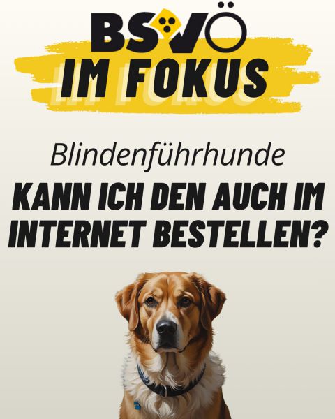 Bsvö im Fokus © BSVÖ Bsvö im Fokus © BSVÖ