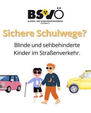 verkehr © BSVÖ
