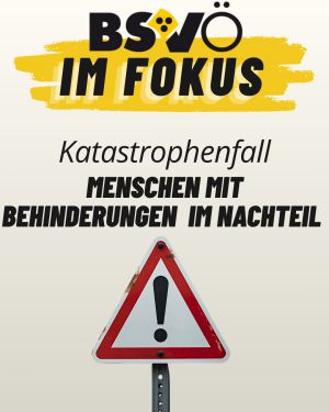 Bsvö im Fokus © BSVÖ