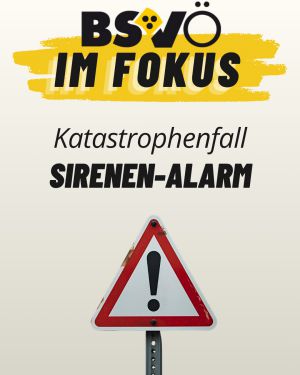 Bsvö im Fokus © BSVÖ