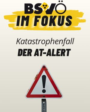 Bsvö im Fokus © BSVÖ