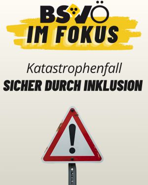 Bsvö im Fokus © BSVÖ