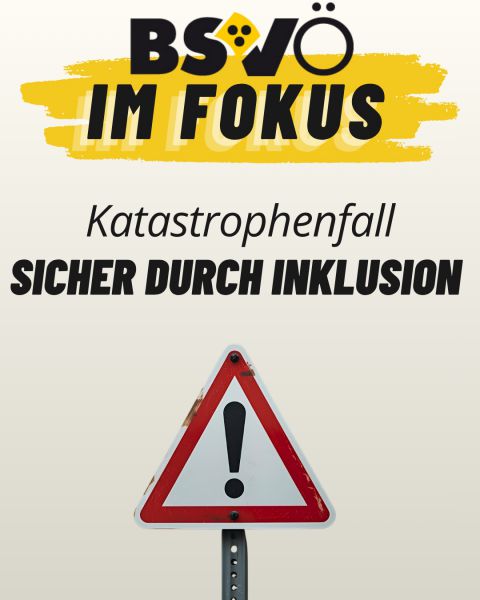 Bsvö im Fokus © BSVÖ Bsvö im Fokus © BSVÖ