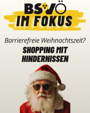 Fokus Weihnachtszeit © BSVÖ