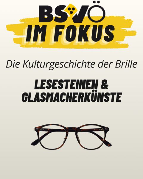 BSVÖ im Fokus © BSVÖ BSVÖ im Fokus © BSVÖ