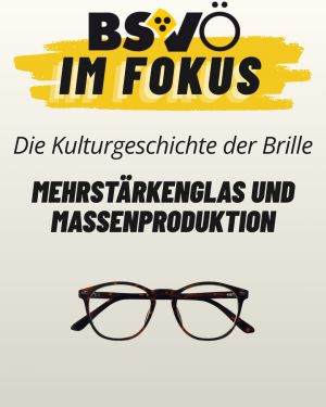 BSVÖ im Fokus © BSVÖ