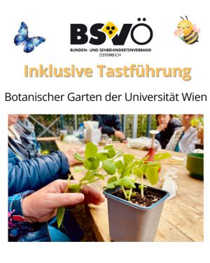 Botanischer Garten © BSVÖ