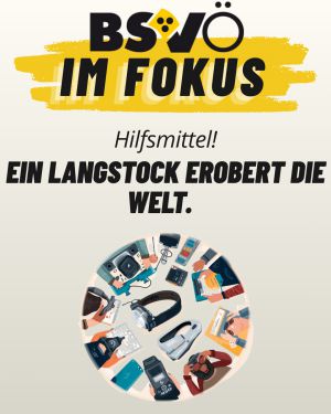 BSVÖ im Fokus © BSVÖ