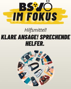 BSVÖ im Fokus © BSVÖ
