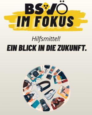 BSVÖ im Fokus © BSVÖ