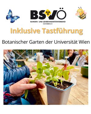 Botanischer Garten © BSVÖ