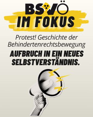 BSVÖ im Fokus © BSVÖ