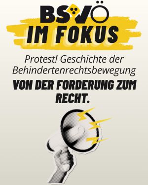 BSVÖ im Fokus © BSVÖ