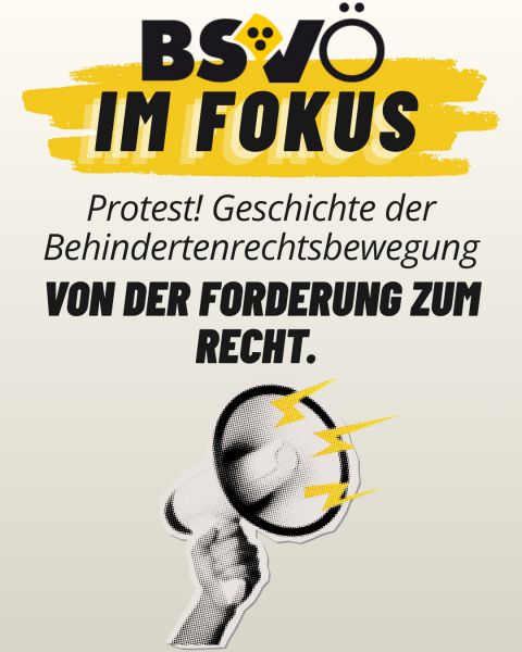 BSVÖ im Fokus © BSVÖ
