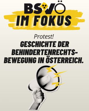 BSVÖ im Fokus © BSVÖ