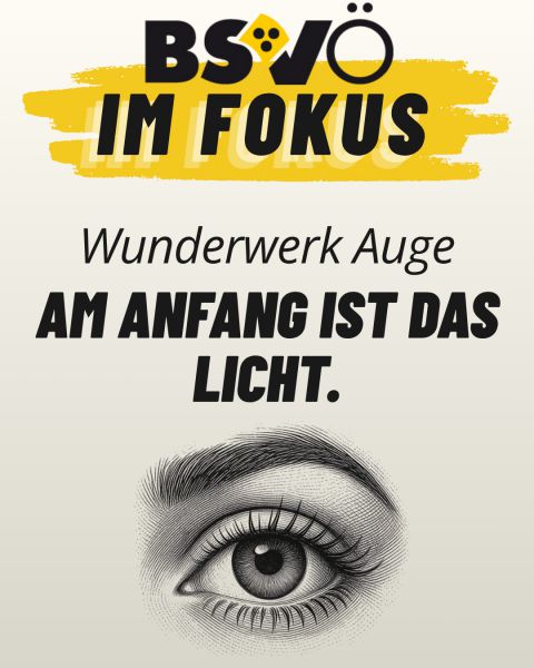BSVÖ im Fokus © BSVÖ BSVÖ im Fokus © BSVÖ