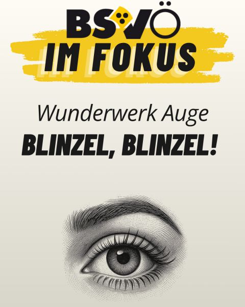 BSVÖ im Fokus © BSVÖ BSVÖ im Fokus © BSVÖ